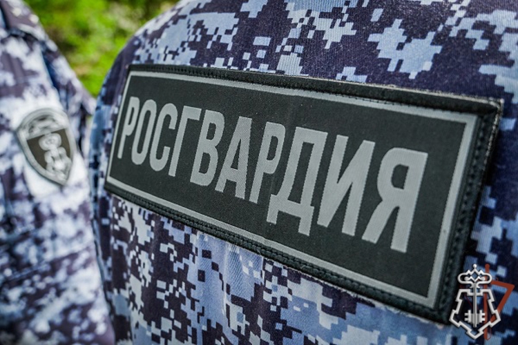 В Адыгее Росгвардия обеспечила правопорядок в День Республики