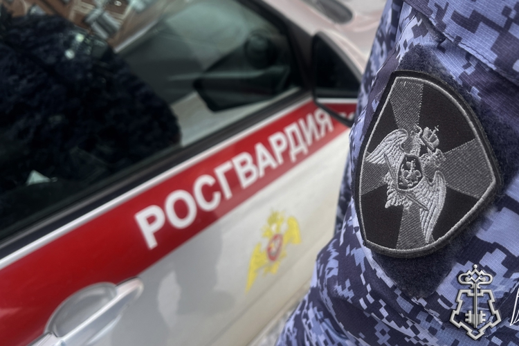 Более 1800 раз по сигналам «Тревога» выезжала вневедомственная охрана Росгвардии в Адыгее